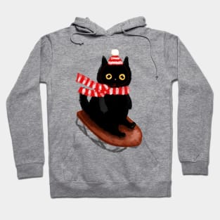 Winter Sledding Hoodie